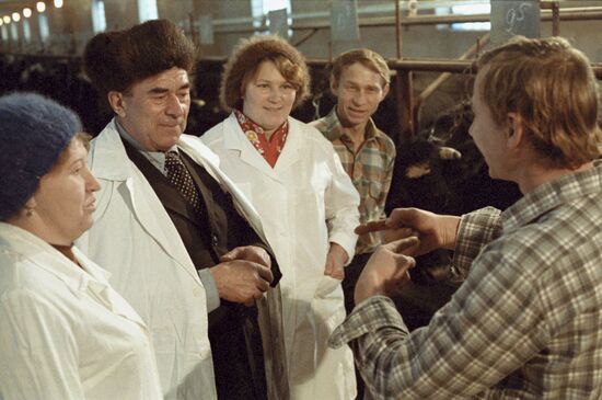 Karpunins' family farm in Zolino collective farm