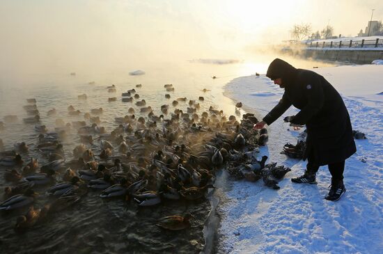 Russia Weather Siberian Federal District