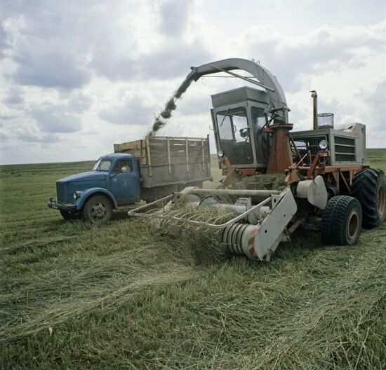 Progress Collective Farm