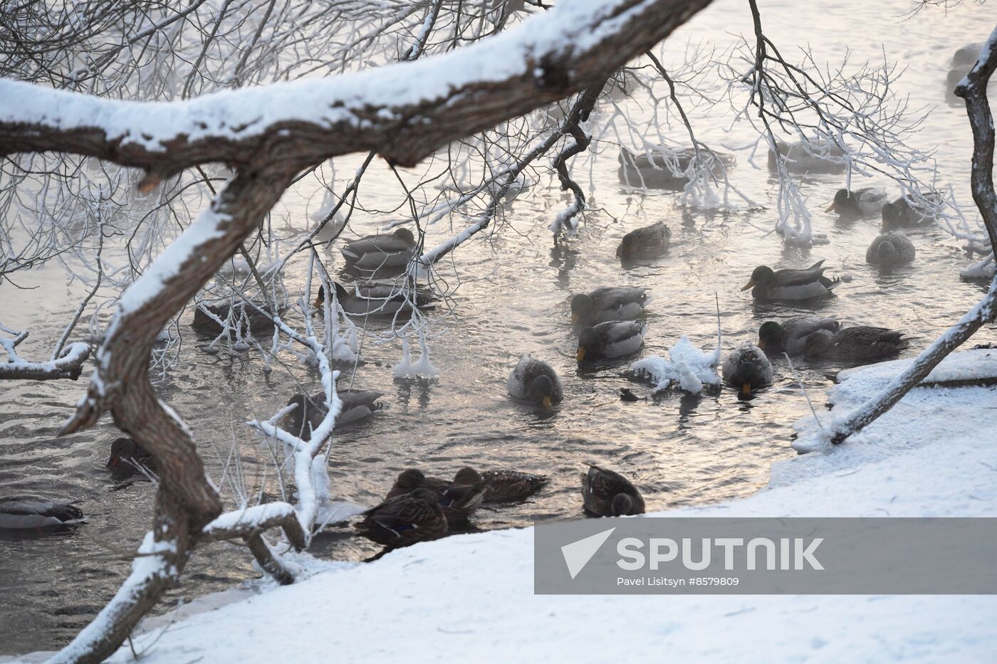 Russia Weather Ural Federal District