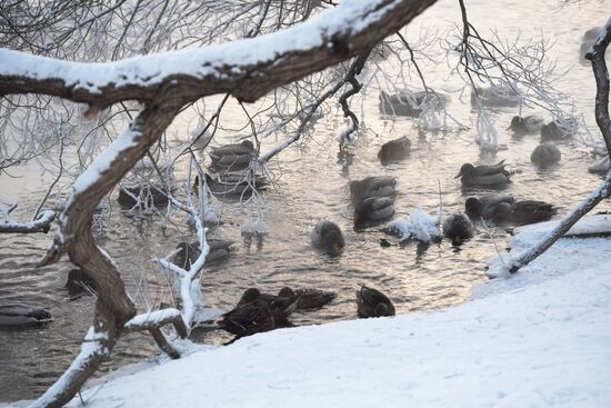 Russia Weather Ural Federal District