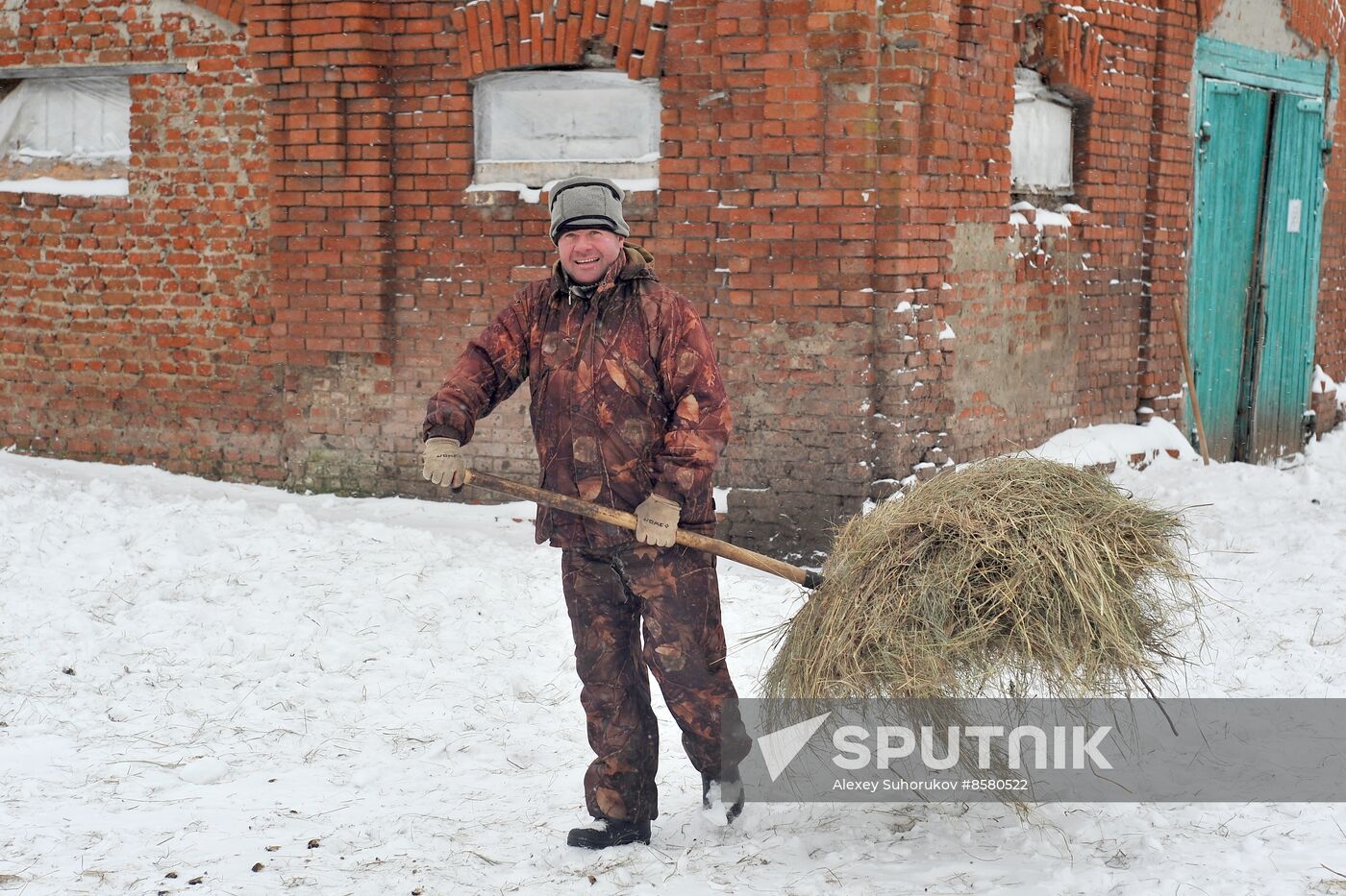 Russia Horse Breeding