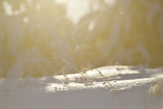 Russia Weather