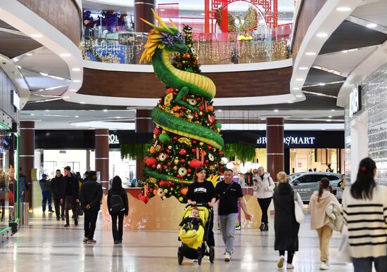 Russia New Year Season Preparations