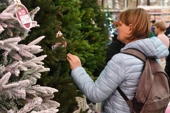 Russia New Year Season Preparations