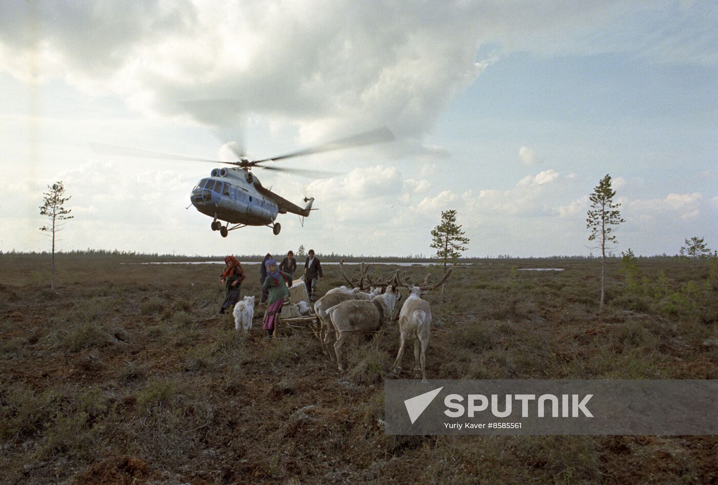 Reindeer herders of Khanty-Mansi Autonomous Area