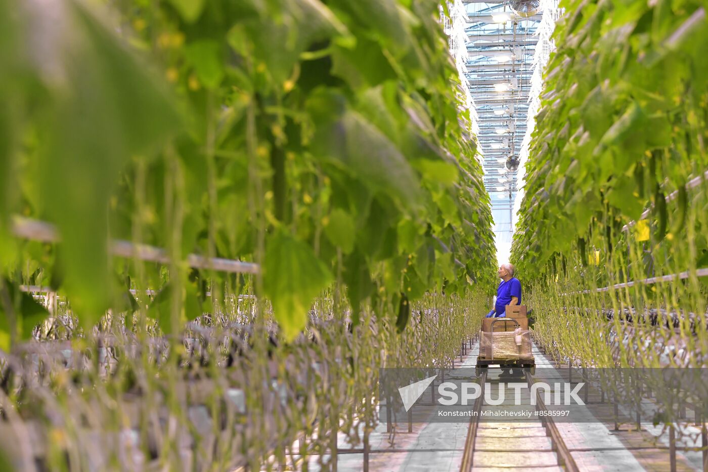 Russia Crimea Agriculture