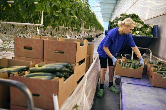 Russia Crimea Agriculture