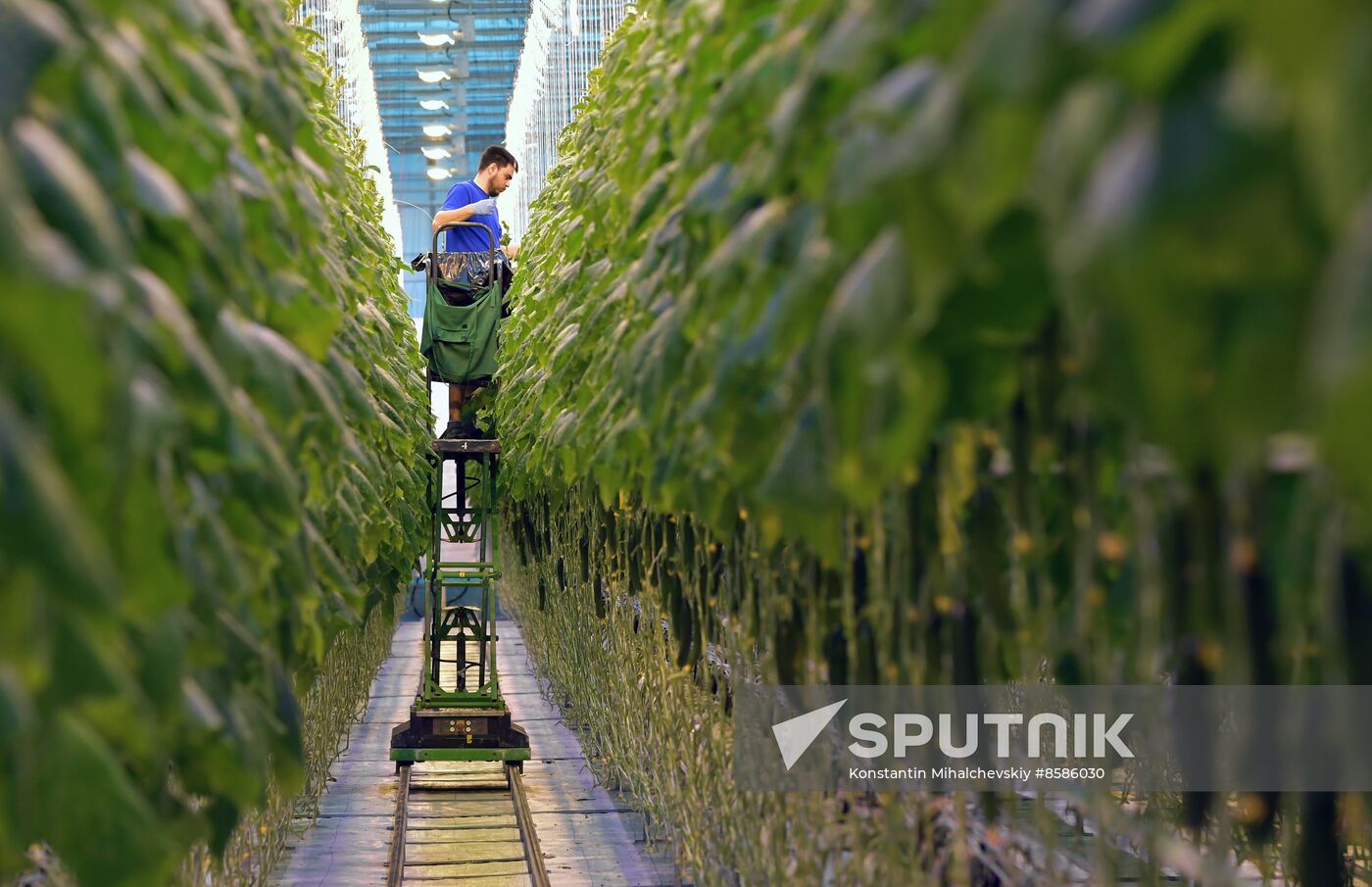 Russia Crimea Agriculture