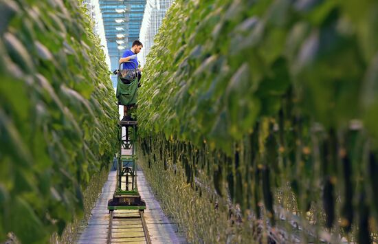 Russia Crimea Agriculture