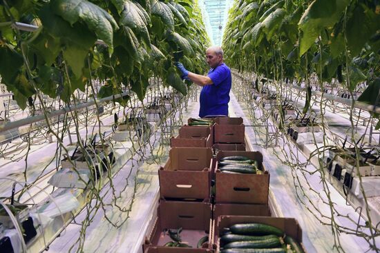 Russia Crimea Agriculture