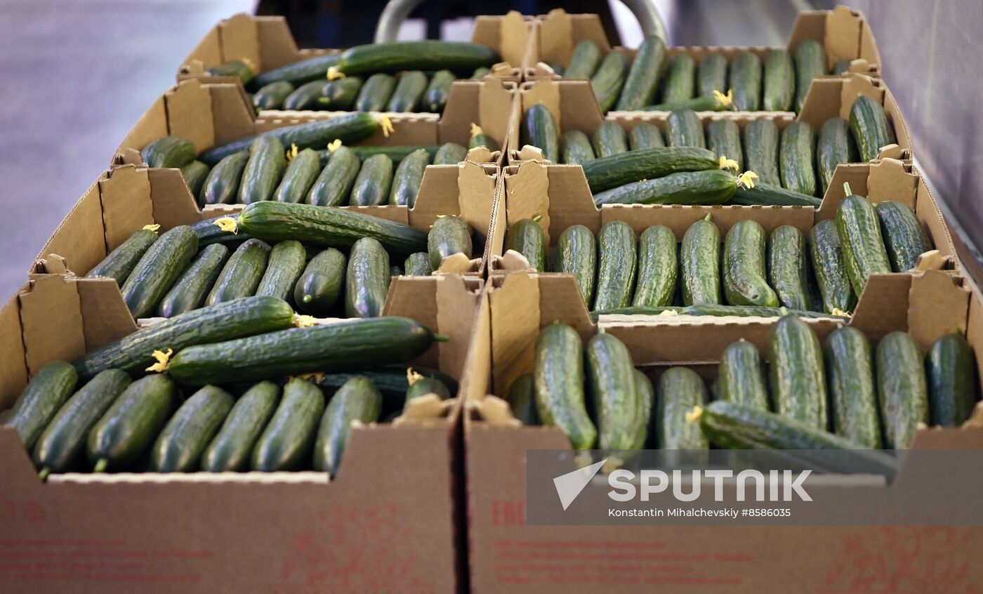 Russia Crimea Agriculture