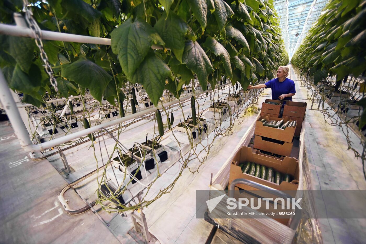 Russia Crimea Agriculture