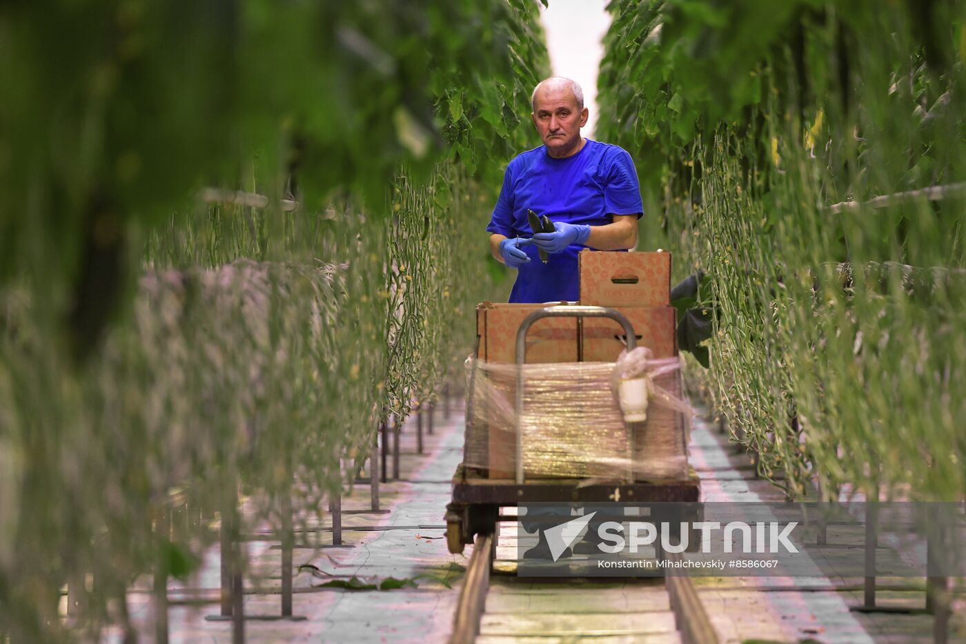 Russia Crimea Agriculture