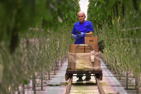 Russia Crimea Agriculture