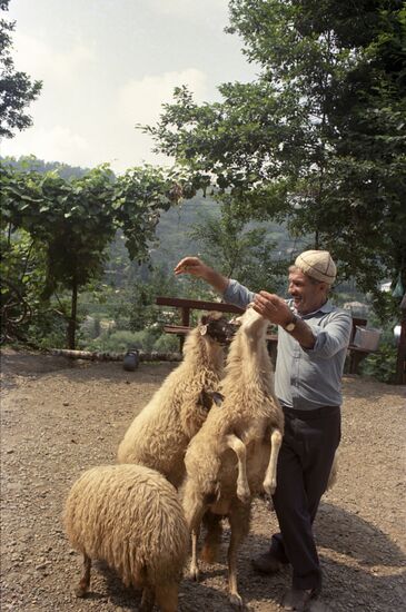 Turmanidze family from village of Makhvilauri in Adzharian ASSR