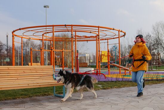 Russia Dog Race