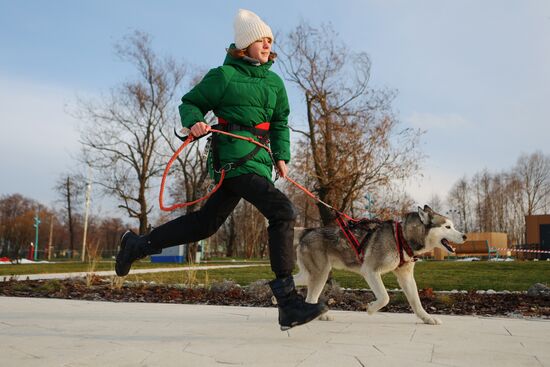 Russia Dog Race