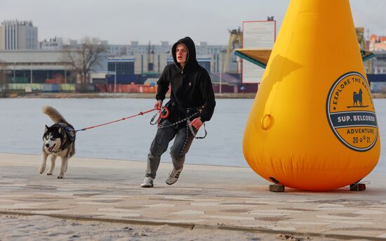 Russia Dog Race