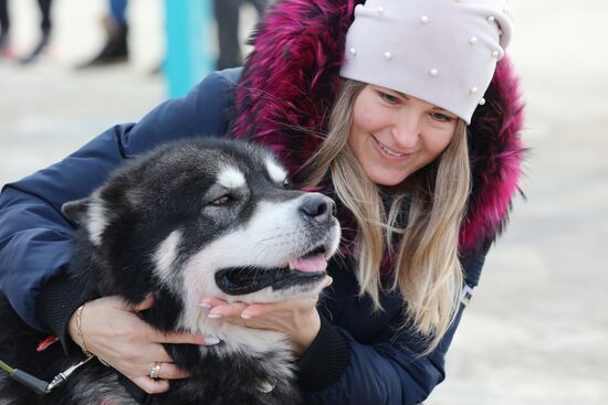 Russia Dog Race