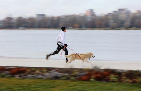 Russia Dog Race