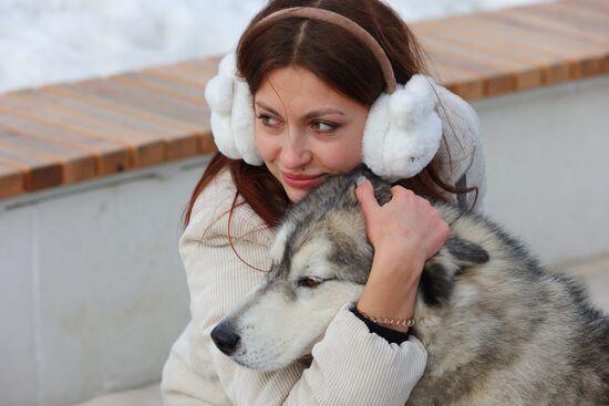 Russia Dog Race
