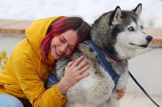 Russia Dog Race