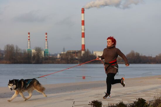 Russia Dog Race
