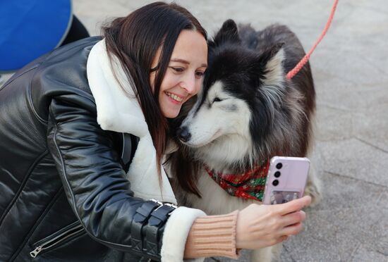 Russia Dog Race