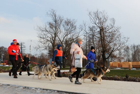 Russia Dog Race