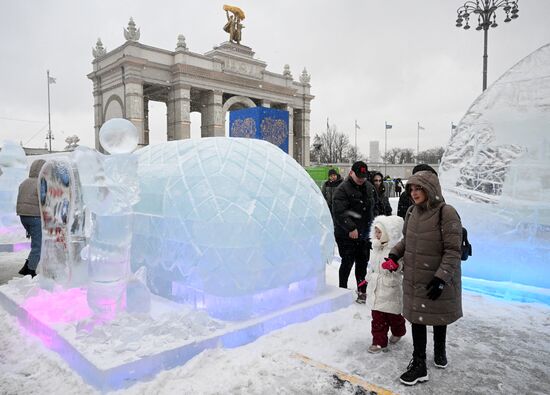 The International RUSSIA EXPO Forum and Exhibition. Unveiling ice sculpture exhibition near the main entrance. Location: Russia, Moscow. Author: Ilya Pitalev/Sputnik. RUSSIA EXPO. Unveiling ice sculpture exhibition