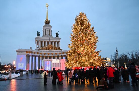 RUSSIA EXPO. Unveiling main Christmas tree