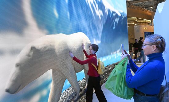 The International RUSSIA EXPO Forum and Exhibition. Location: Russia, Moscow. Author: Kirill Kallinikov/Sputnik. RUSSIA EXPO