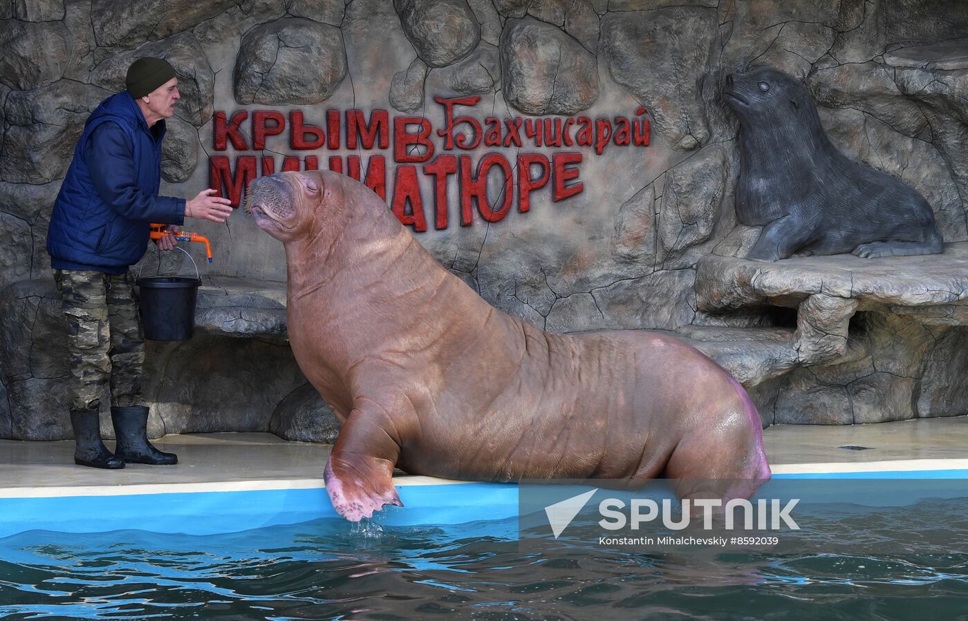 Russia Zoo Walrus