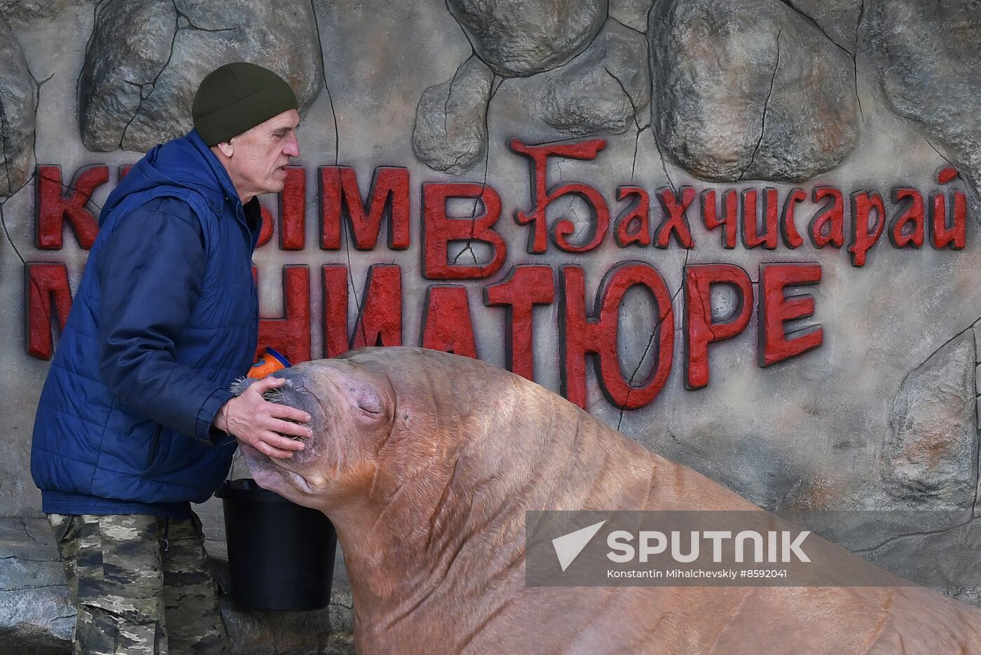 Russia Zoo Walrus