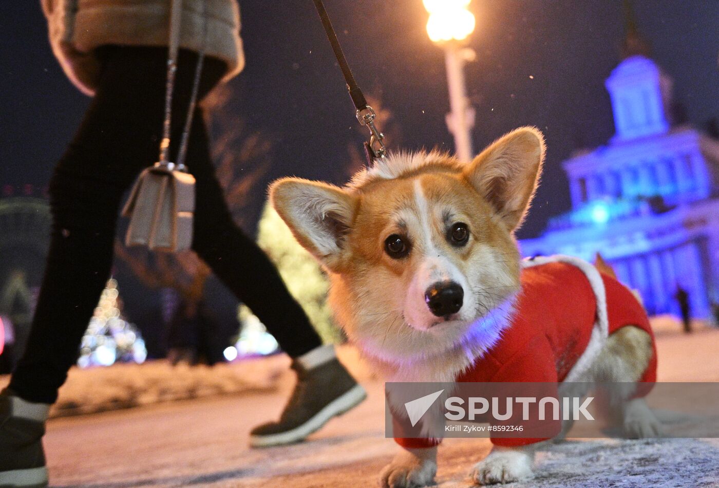 RUSSIA EXPO. New Year's Eve