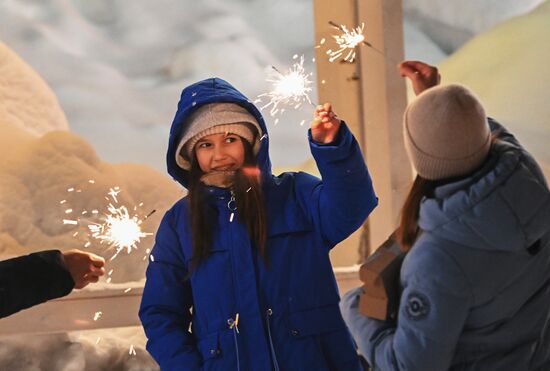 Russia New Year Celebration