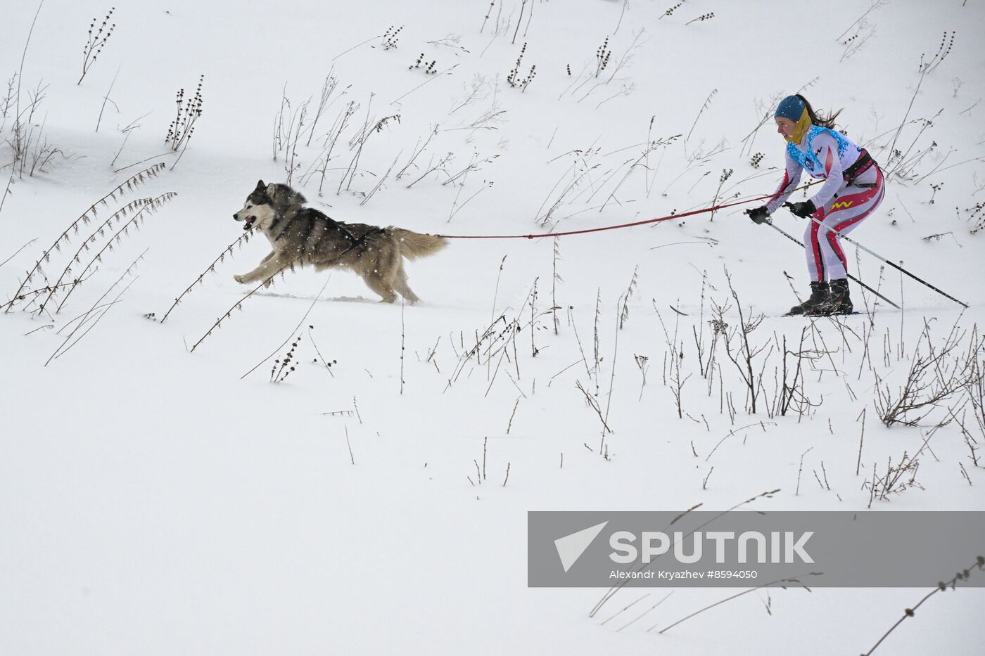 Russia Sled Dog Racing Championship