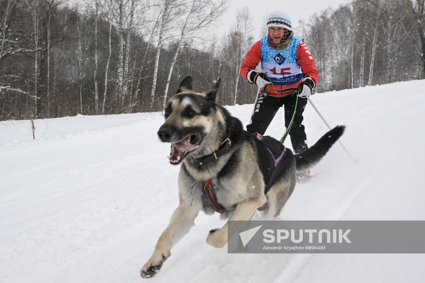 Russia Sled Dog Racing Championship