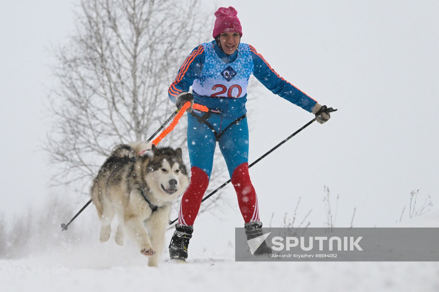 Russia Sled Dog Racing Championship