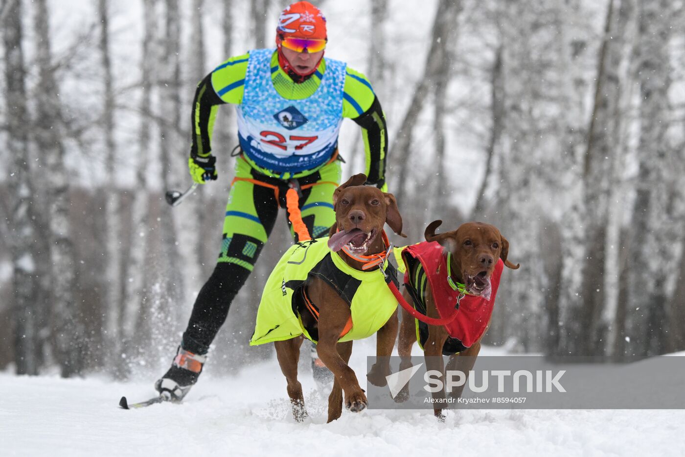 Russia Sled Dog Racing Championship