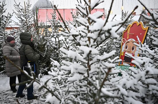 The International RUSSIA EXPO Forum and Exhibition. Russian Winter Festival. Location: Russia, Moscow. Author: Grigory Sysoev/Sputnik. RUSSIA EXPO. Russian Winter Festival
