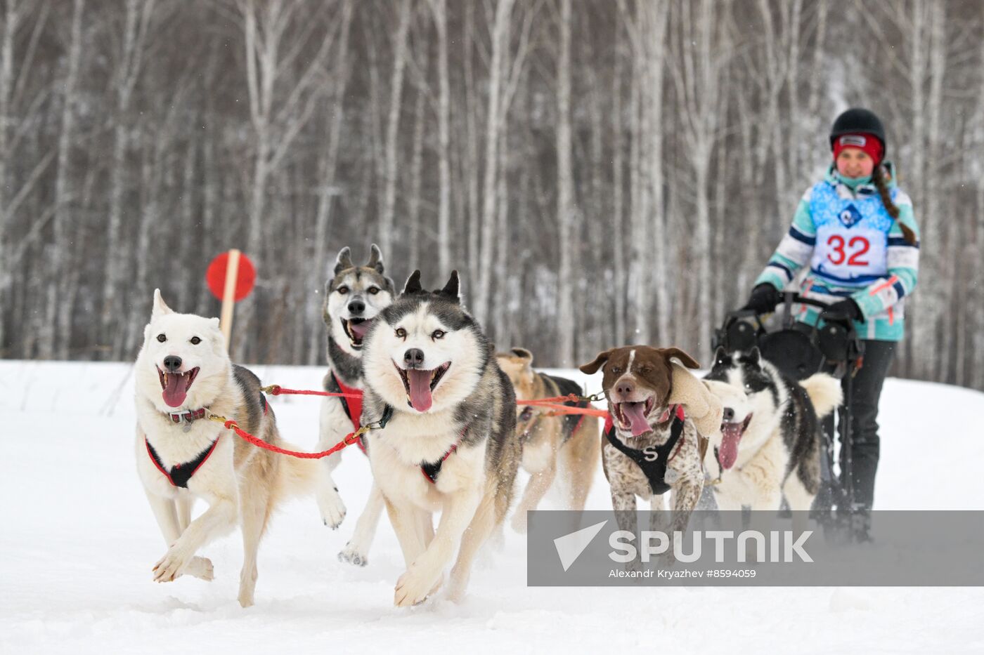 Russia Sled Dog Racing Championship