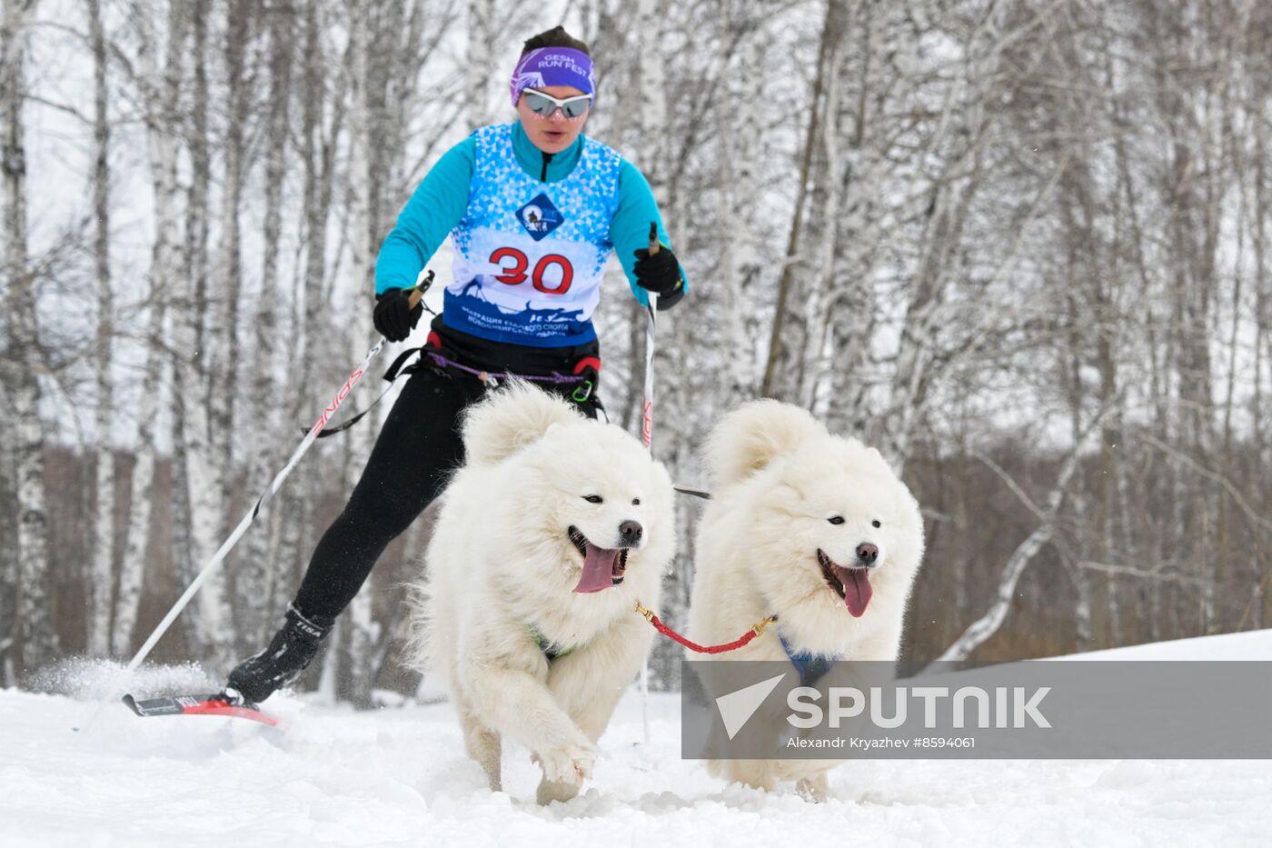 Russia Sled Dog Racing Championship