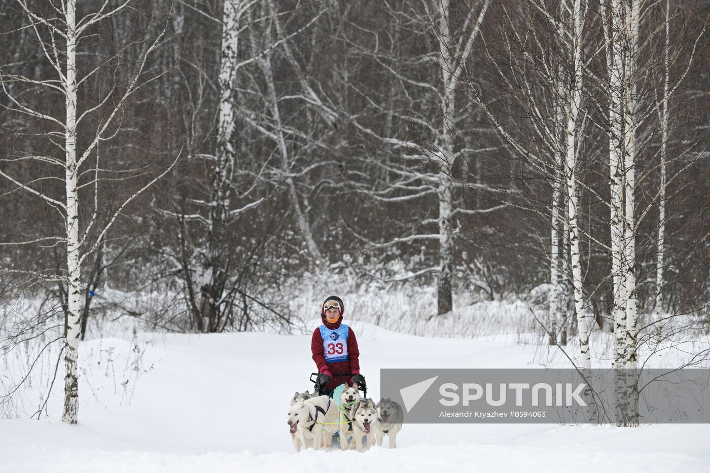 Russia Sled Dog Racing Championship