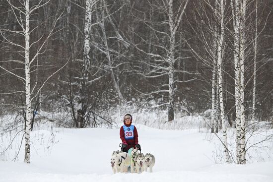 Russia Sled Dog Racing Championship