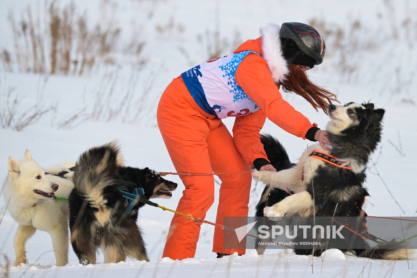 Russia Sled Dog Racing Championship