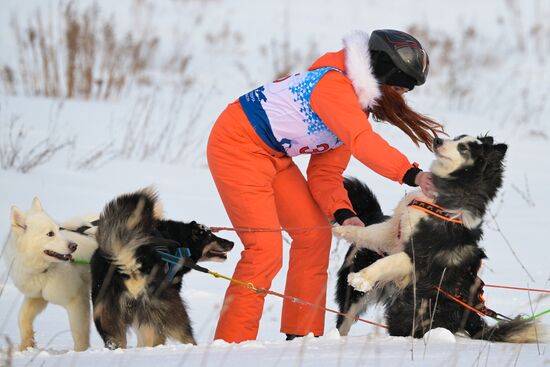 Russia Sled Dog Racing Championship