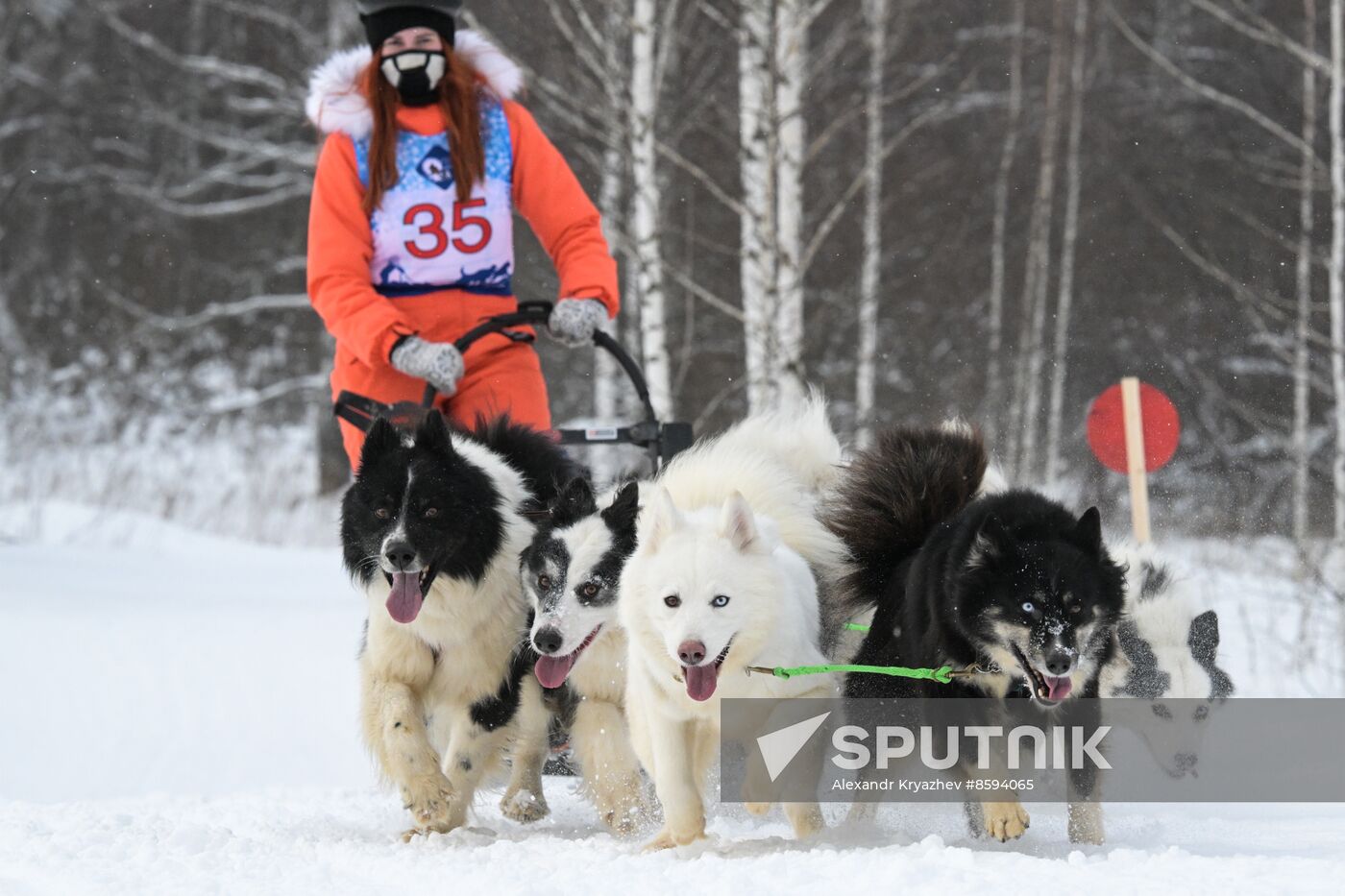 Russia Sled Dog Racing Championship