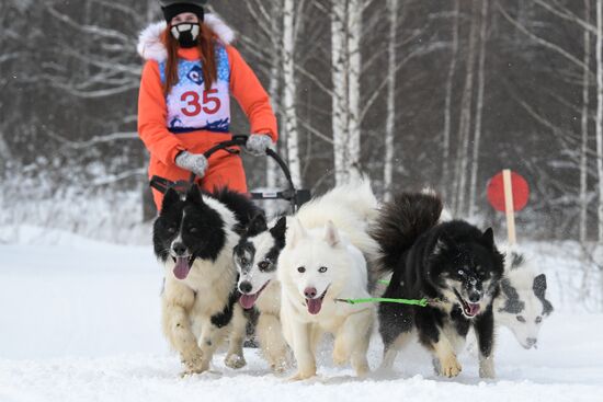 Russia Sled Dog Racing Championship